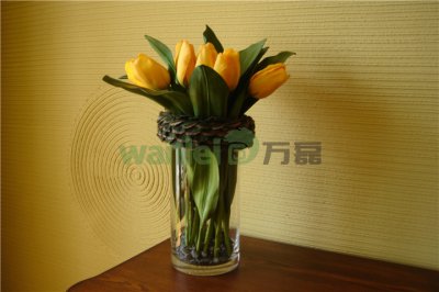 有了硅藻泥，新房入住不再等！